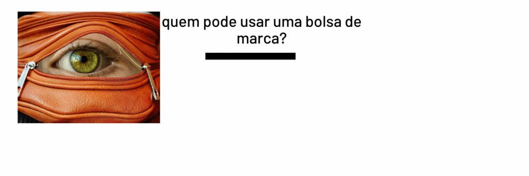 Quem pode usar uma bolsa de marca?